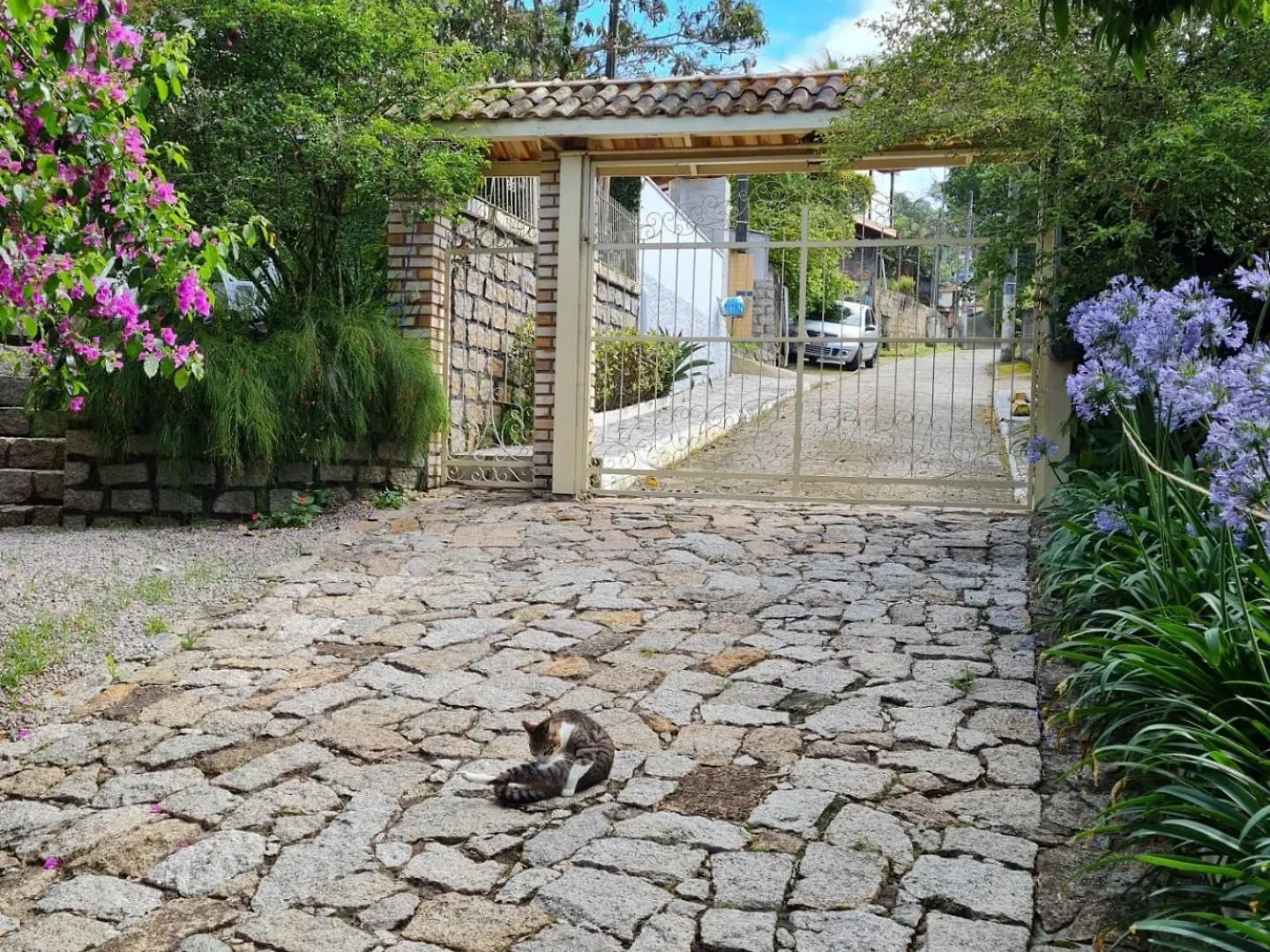 Casa Da Rosa Hospedagem Em Florianopolis