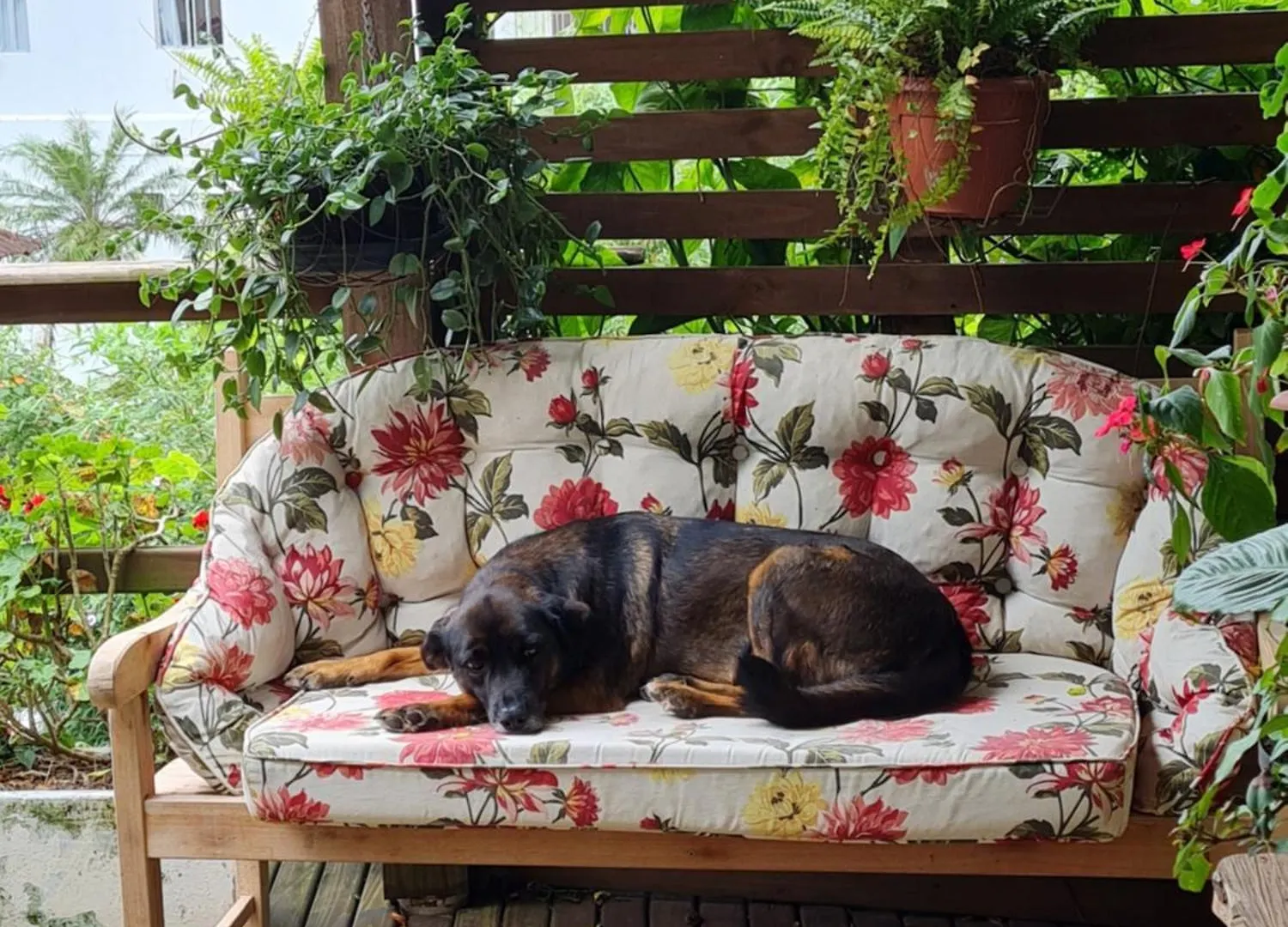 Casa Da Rosa Hospedagem Em Florianopolis Homestay